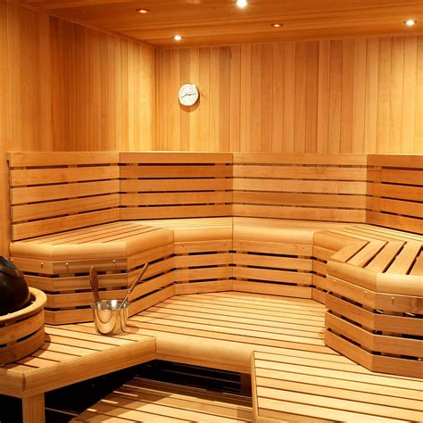 pornos sauna|'sauna' Search .